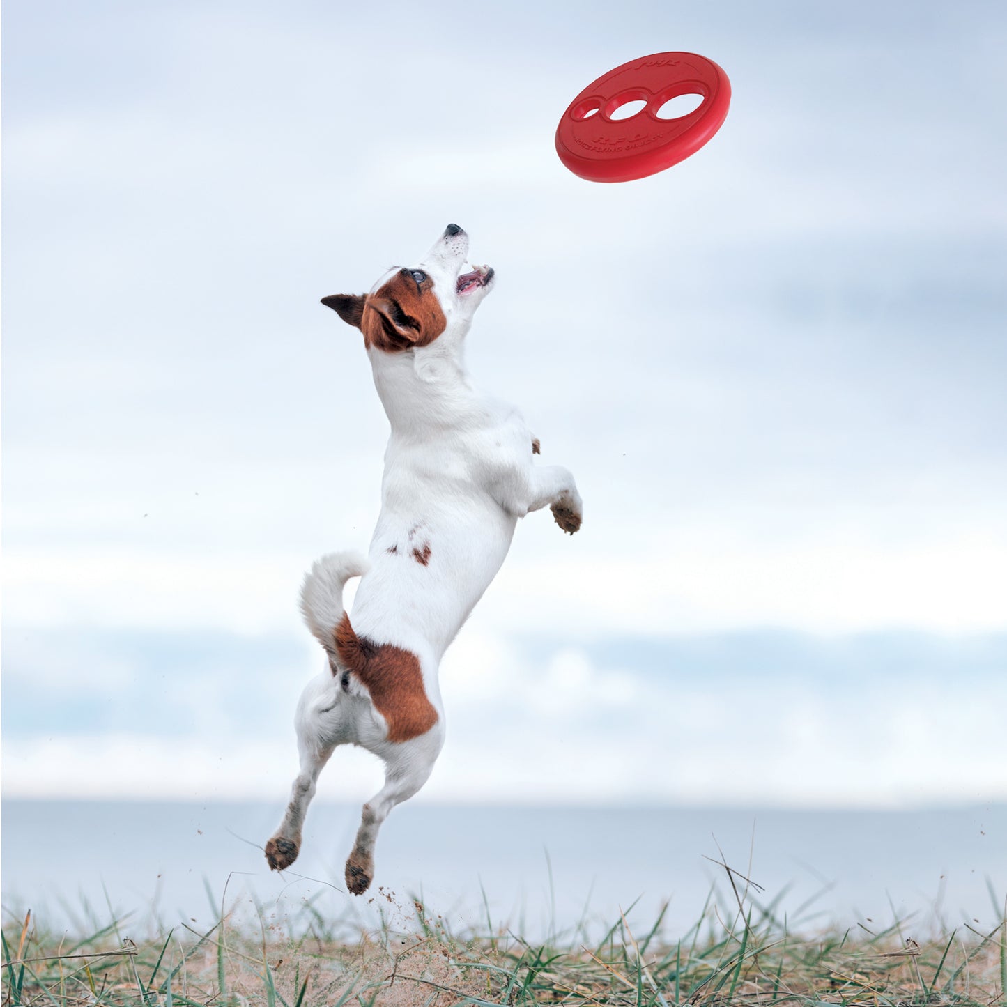 Rogz RFO Fetch Flying Toy
