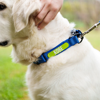Rogz Utility TwinLoc Personalised Collar