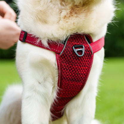 Rogz Utility Ergo Crossfit Personalised Harness