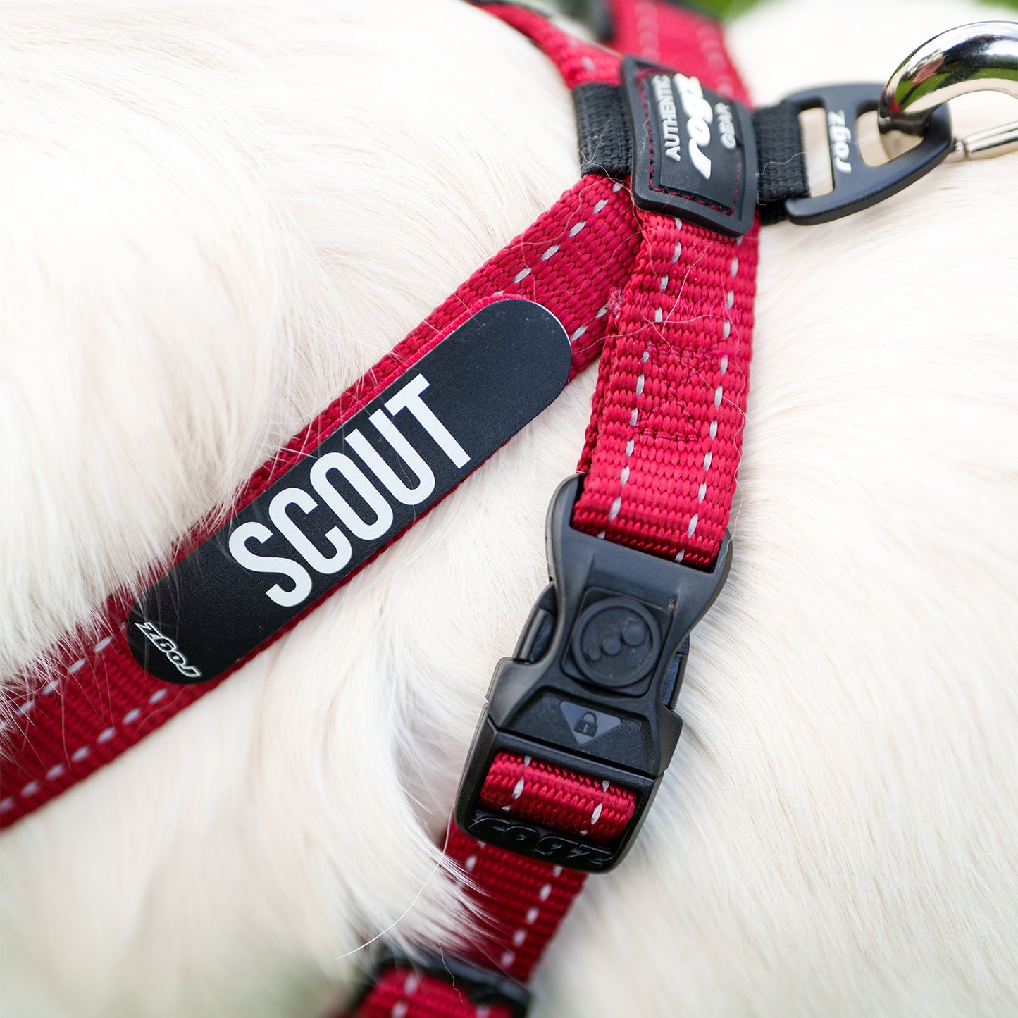 Rogz Utility Ergo Crossfit Personalised Harness