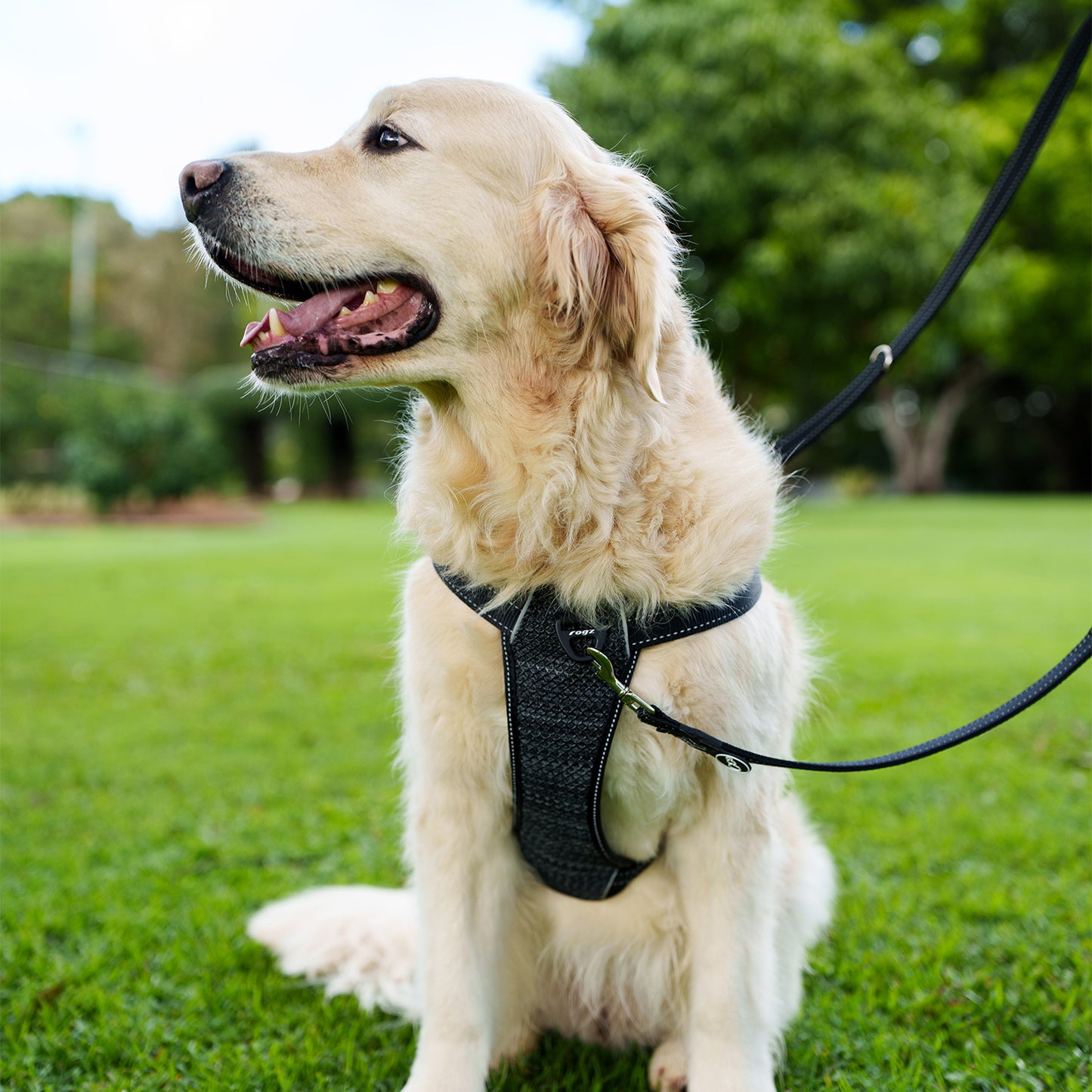 Rogz Utility Ergo Crossfit Personalised Harness