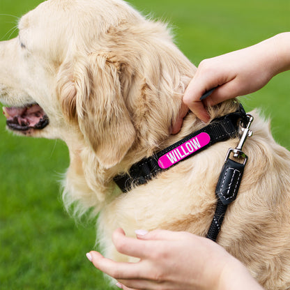 Rogz Utility TwinLoc Personalised Collar