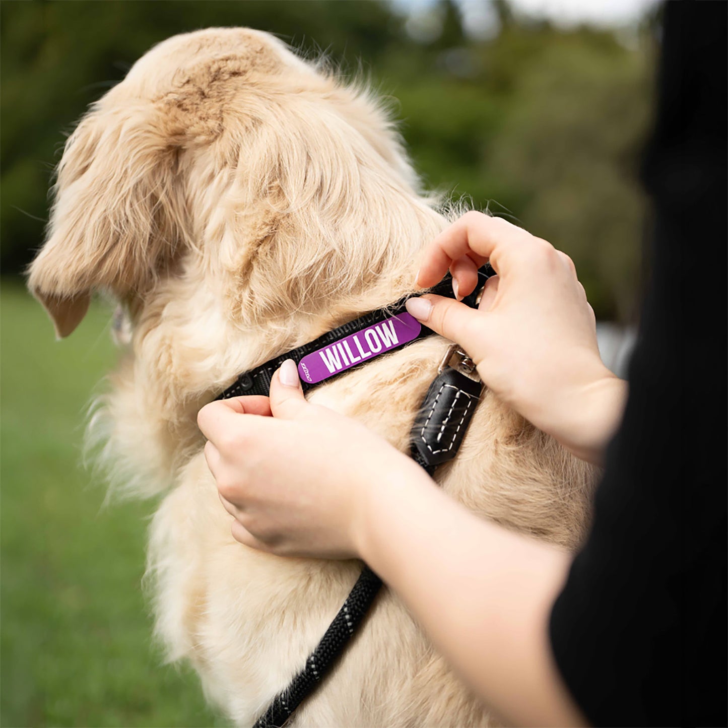 Personality + Colour Badges - XS