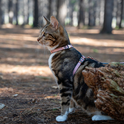 Rogz UrbanCat Control Harness and Lead