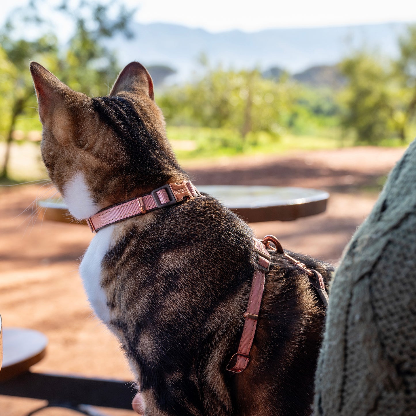 Rogz UrbanCat Control Harness and Lead