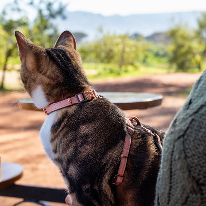 Rogz UrbanCat Control Harness and Lead