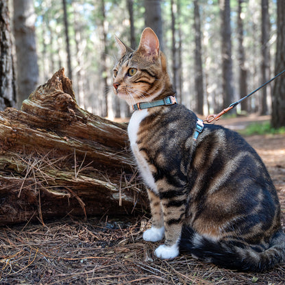 Rogz UrbanCat Control Harness and Lead