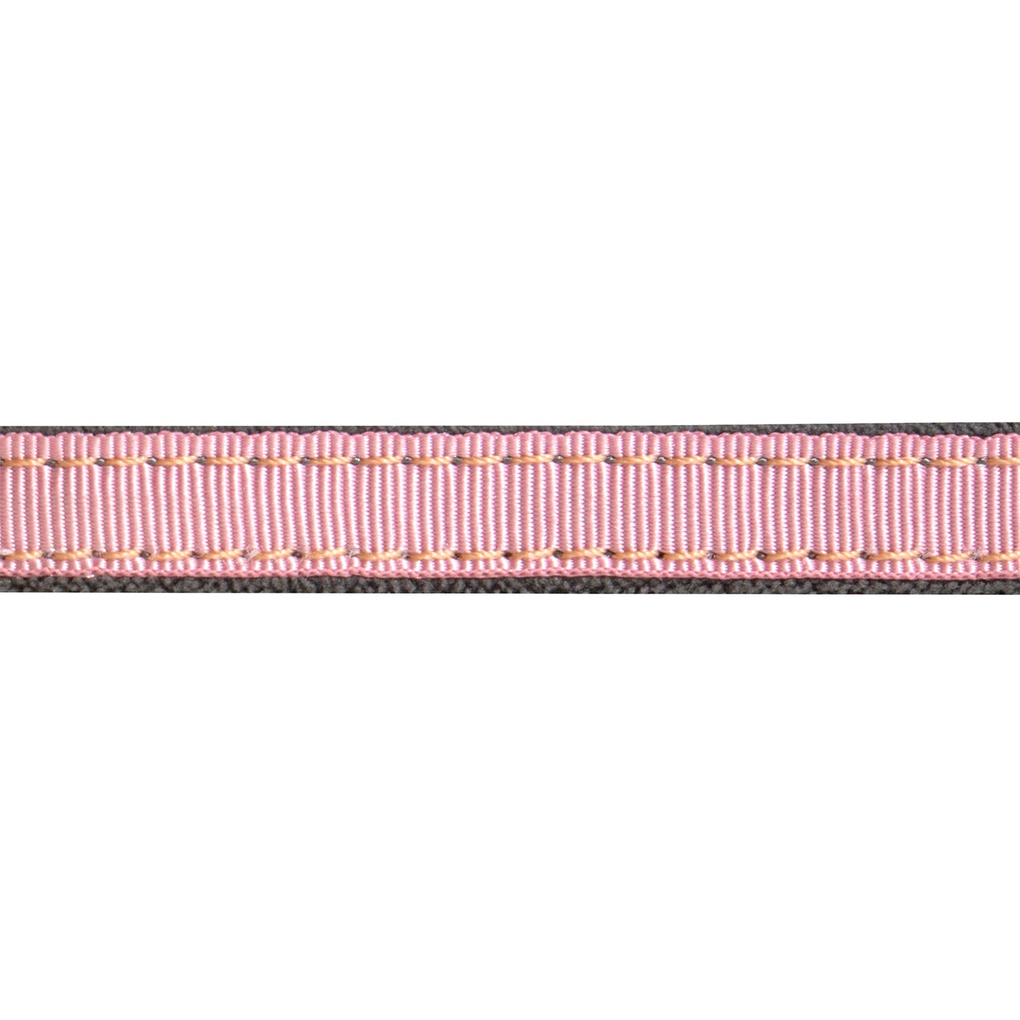 Rogz UrbanCat Safety Collar