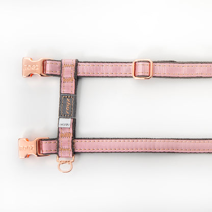 Rogz UrbanCat Control Harness and Lead