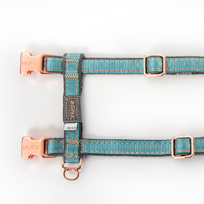 Rogz UrbanCat Control Harness and Lead