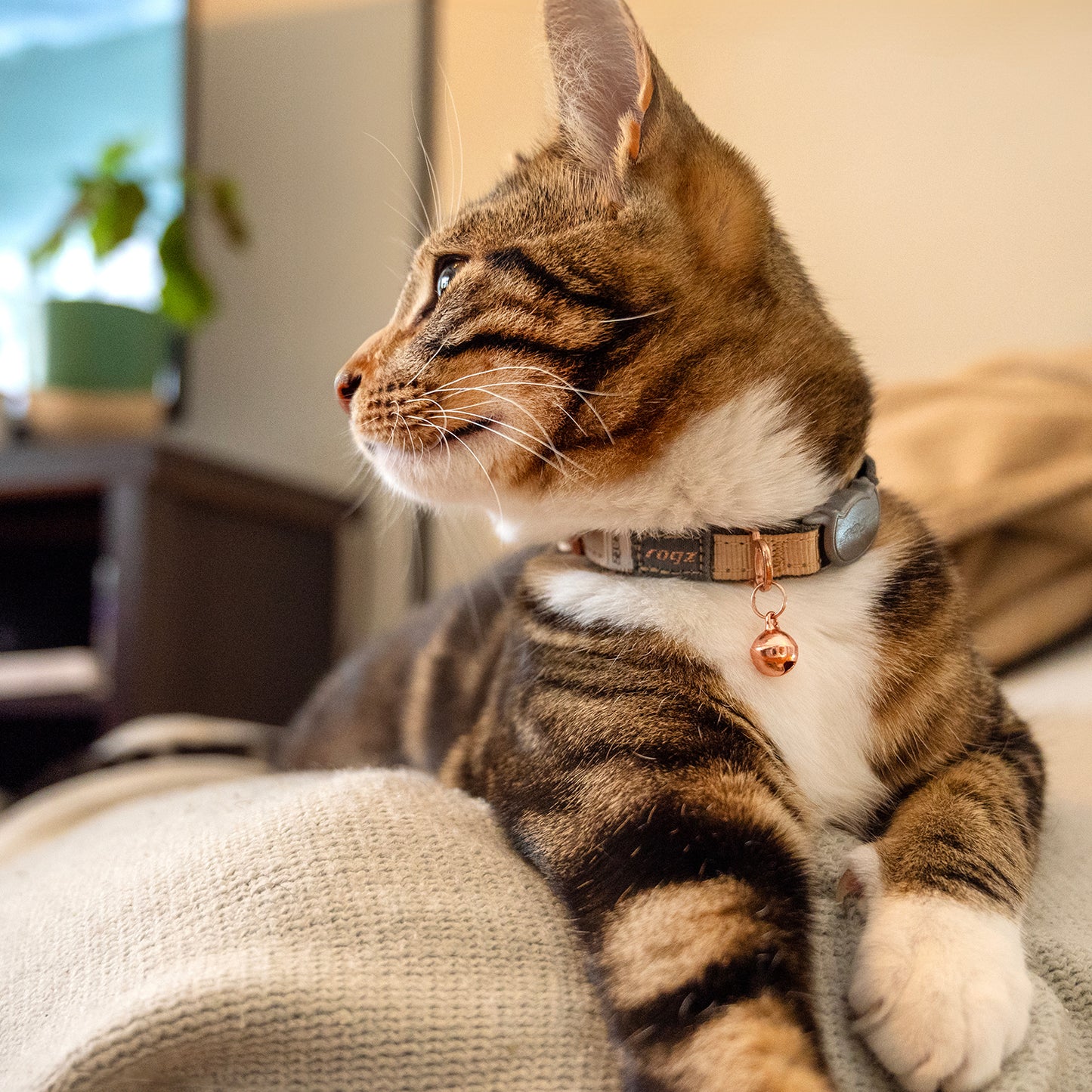 Rogz UrbanCat Safety Collar