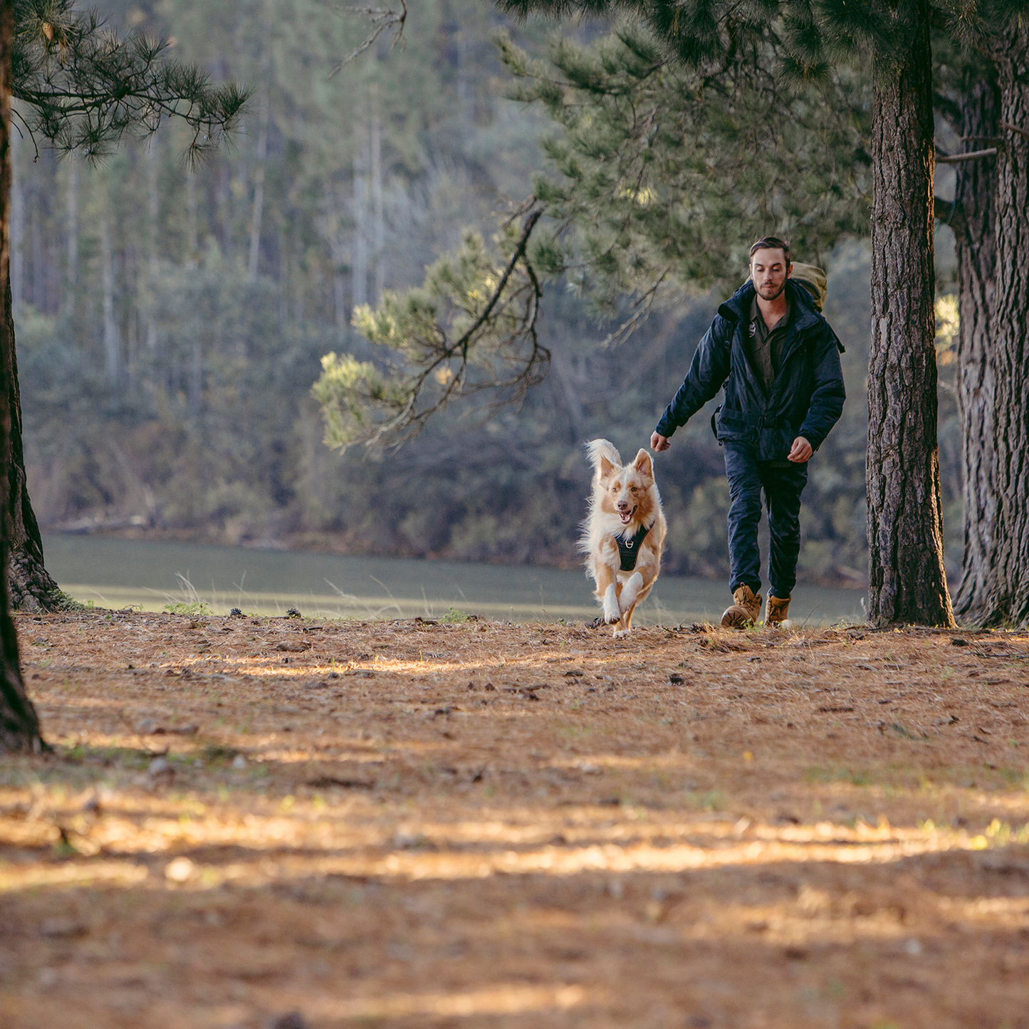 Rogz Utility Explore Harness