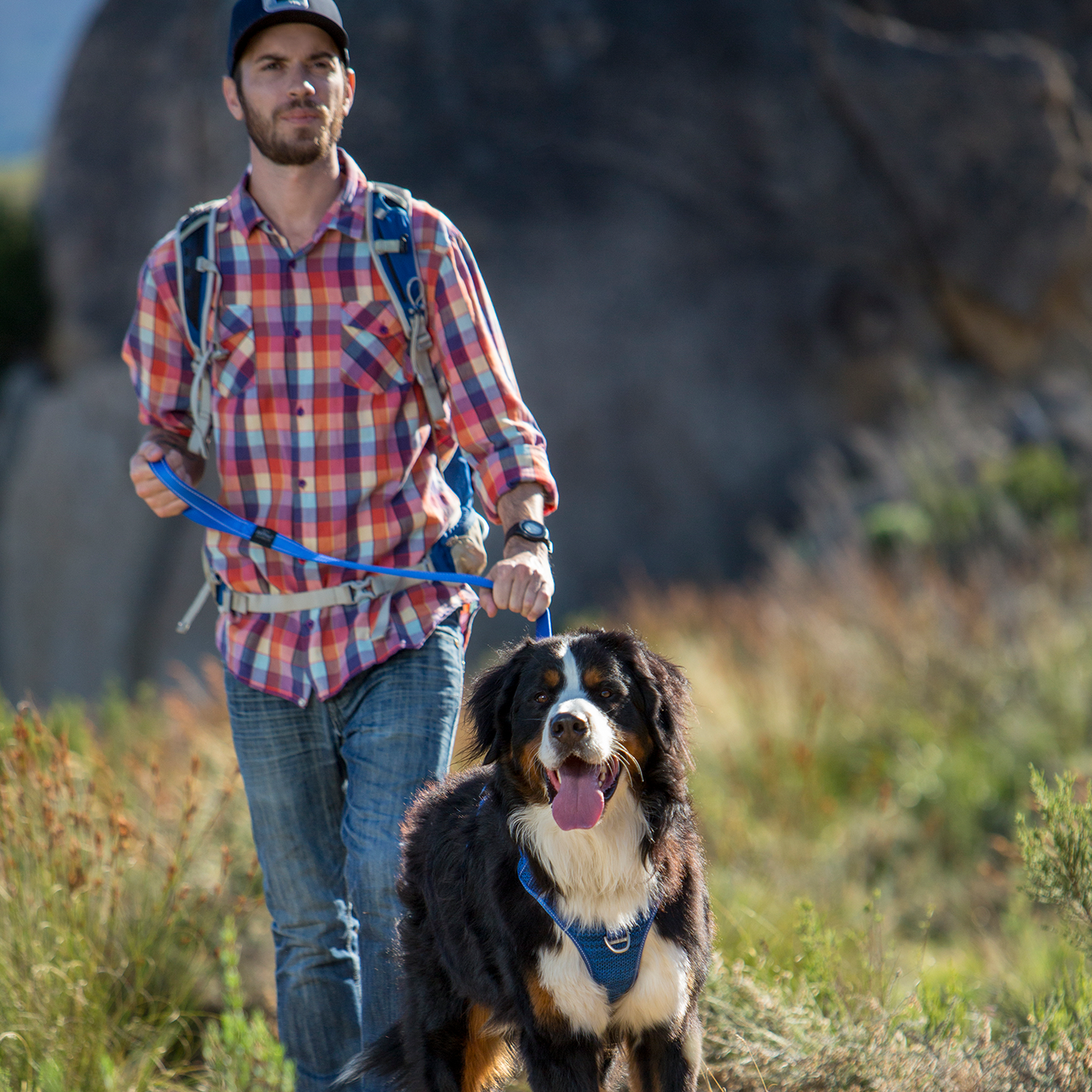 Rogz Utility Explore Harness