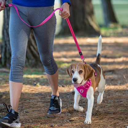 Rogz Utility Explore Harness