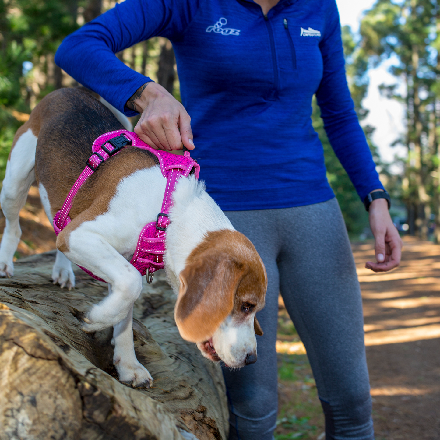 Rogz Utility Explore Harness