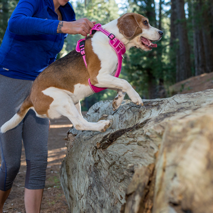 Rogz Utility Explore Harness