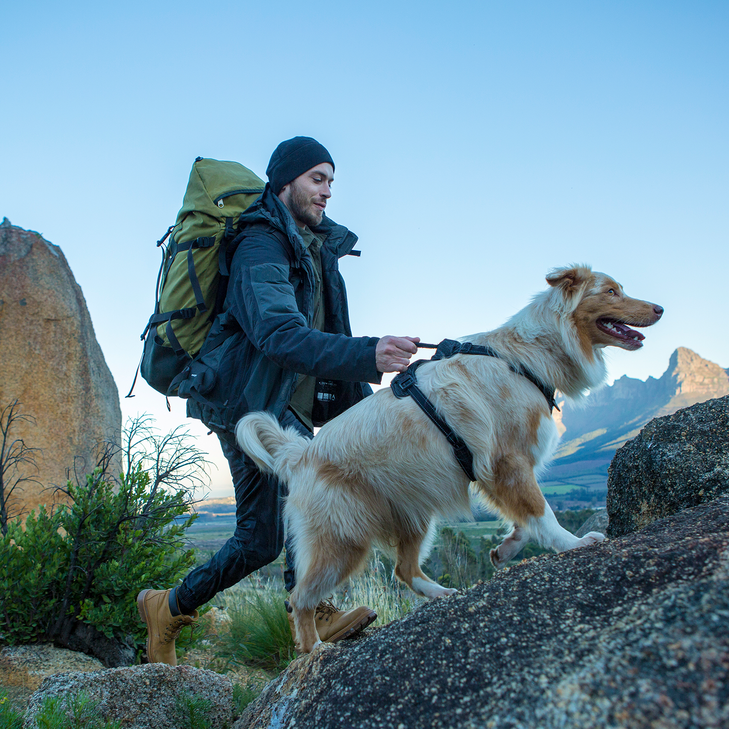 Rogz Utility Explore Harness