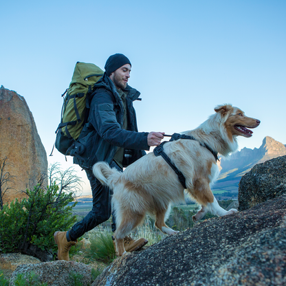 Rogz Utility Explore Harness