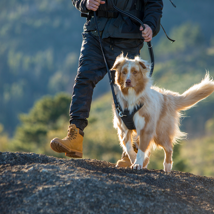 Rogz Utility Explore Harness