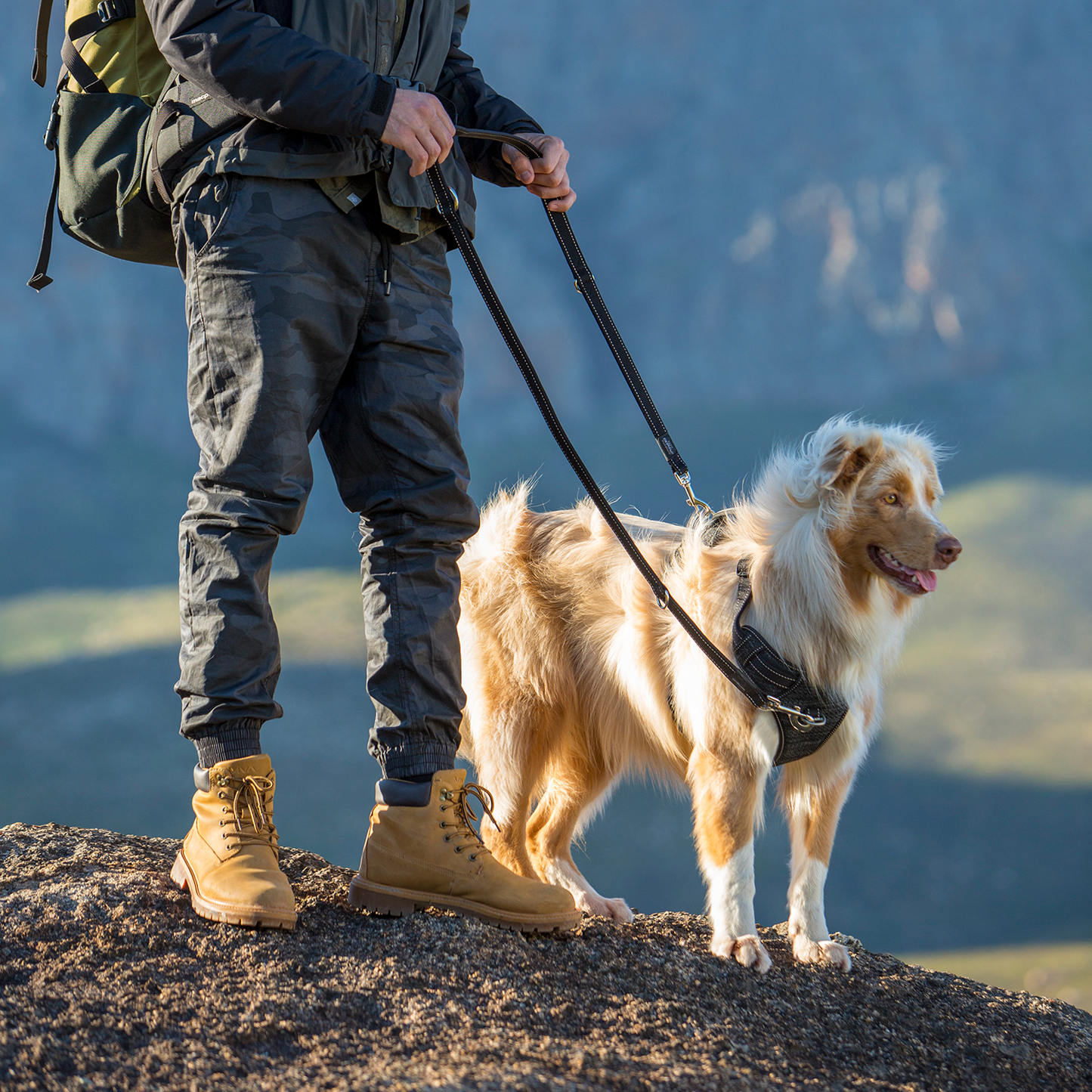 Rogz Utility Explore Harness