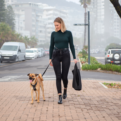 Rogz Utility Handsfree Lead