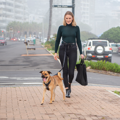 Rogz Utility Handsfree Lead