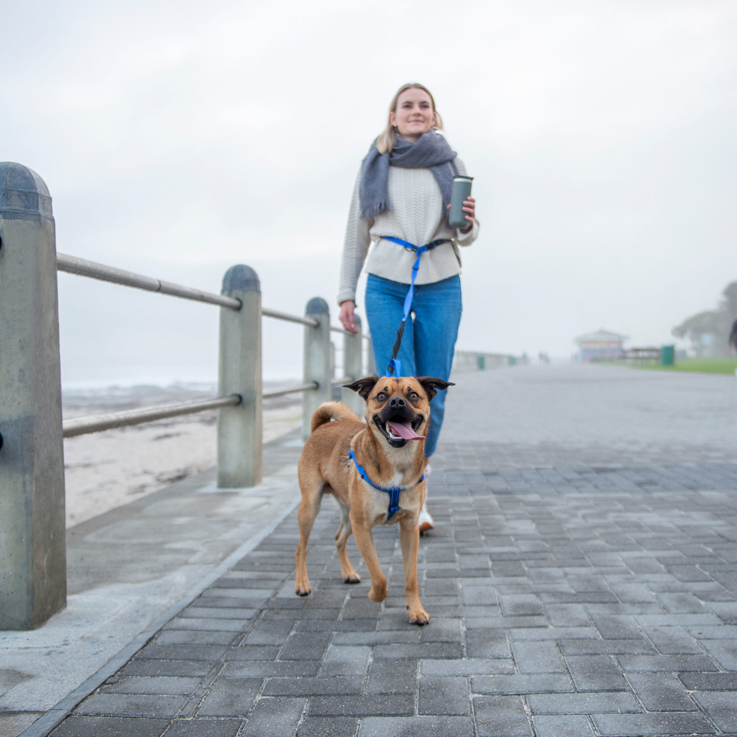 Rogz Utility Handsfree Lead