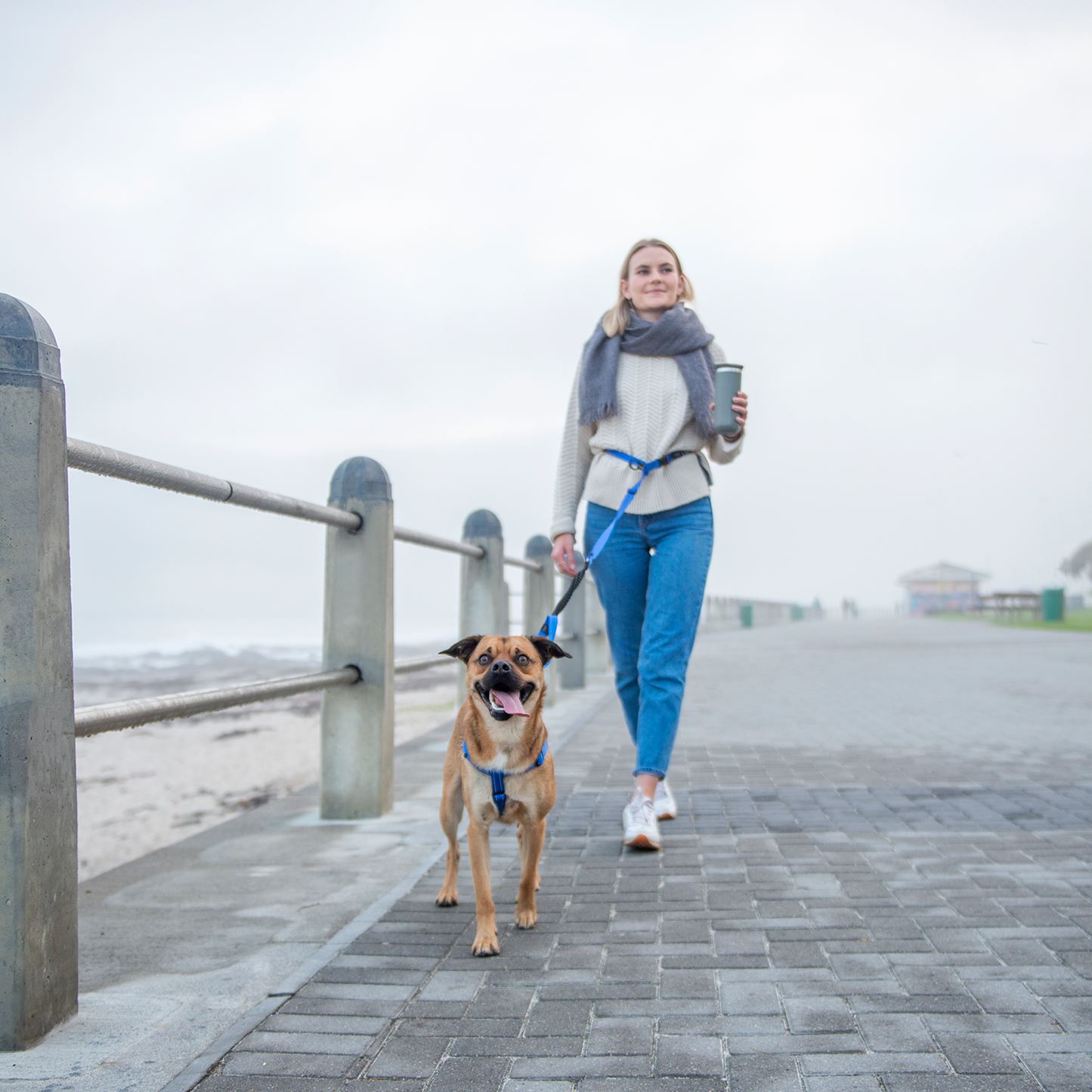 Rogz Utility Handsfree Lead