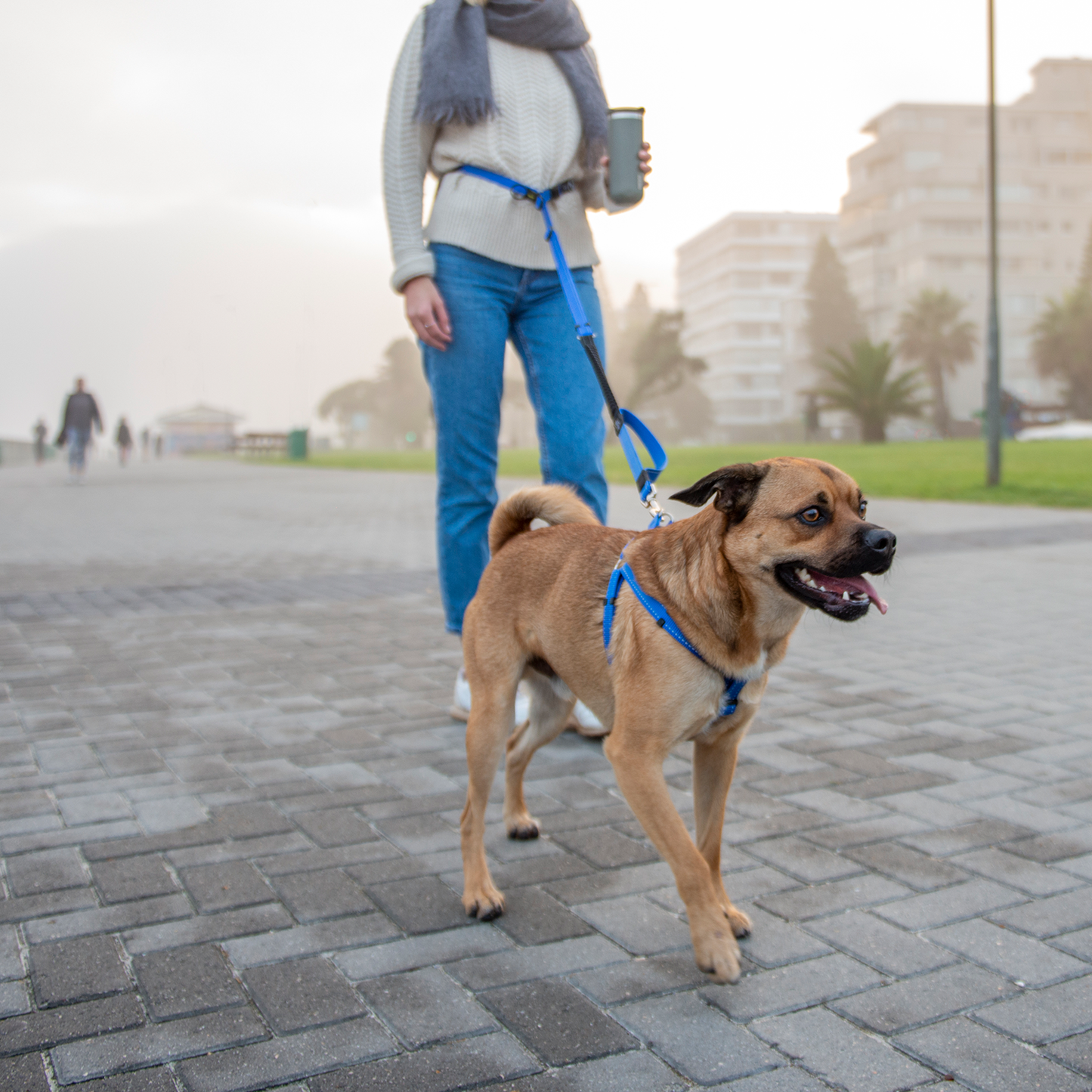 Rogz Utility Handsfree Lead