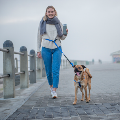 Rogz Utility Handsfree Lead