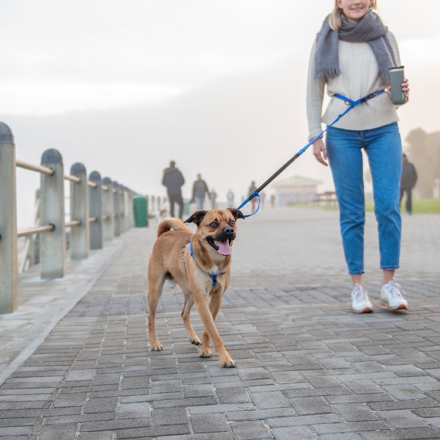 Rogz Utility Handsfree Lead