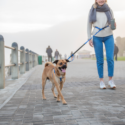 Rogz Utility Handsfree Lead