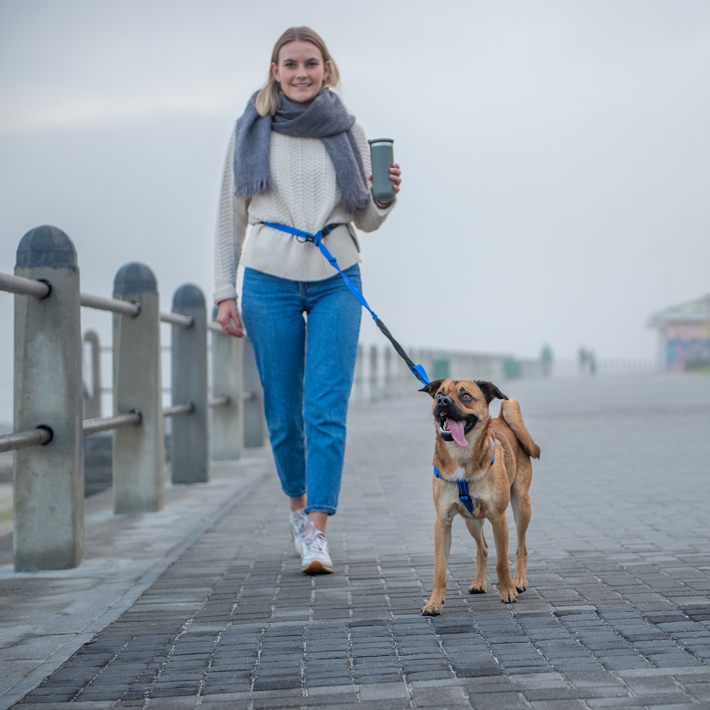 Rogz Utility Handsfree Lead