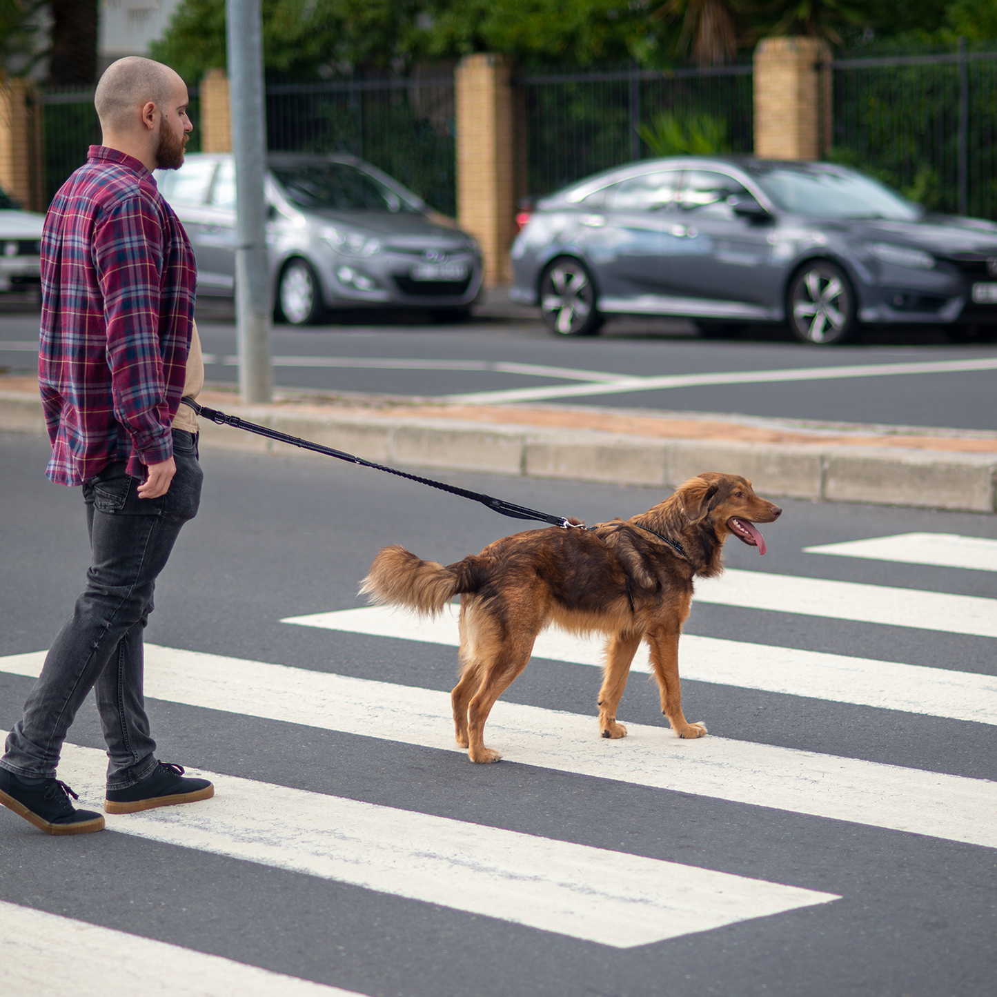 Rogz Utility Handsfree Lead