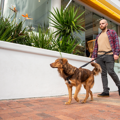 Rogz Utility Handsfree Lead