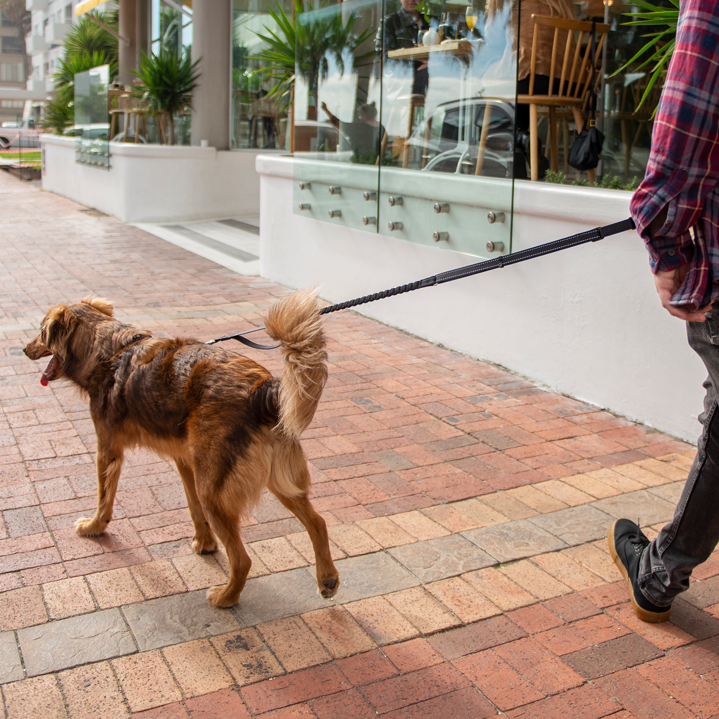 Rogz Utility Handsfree Lead