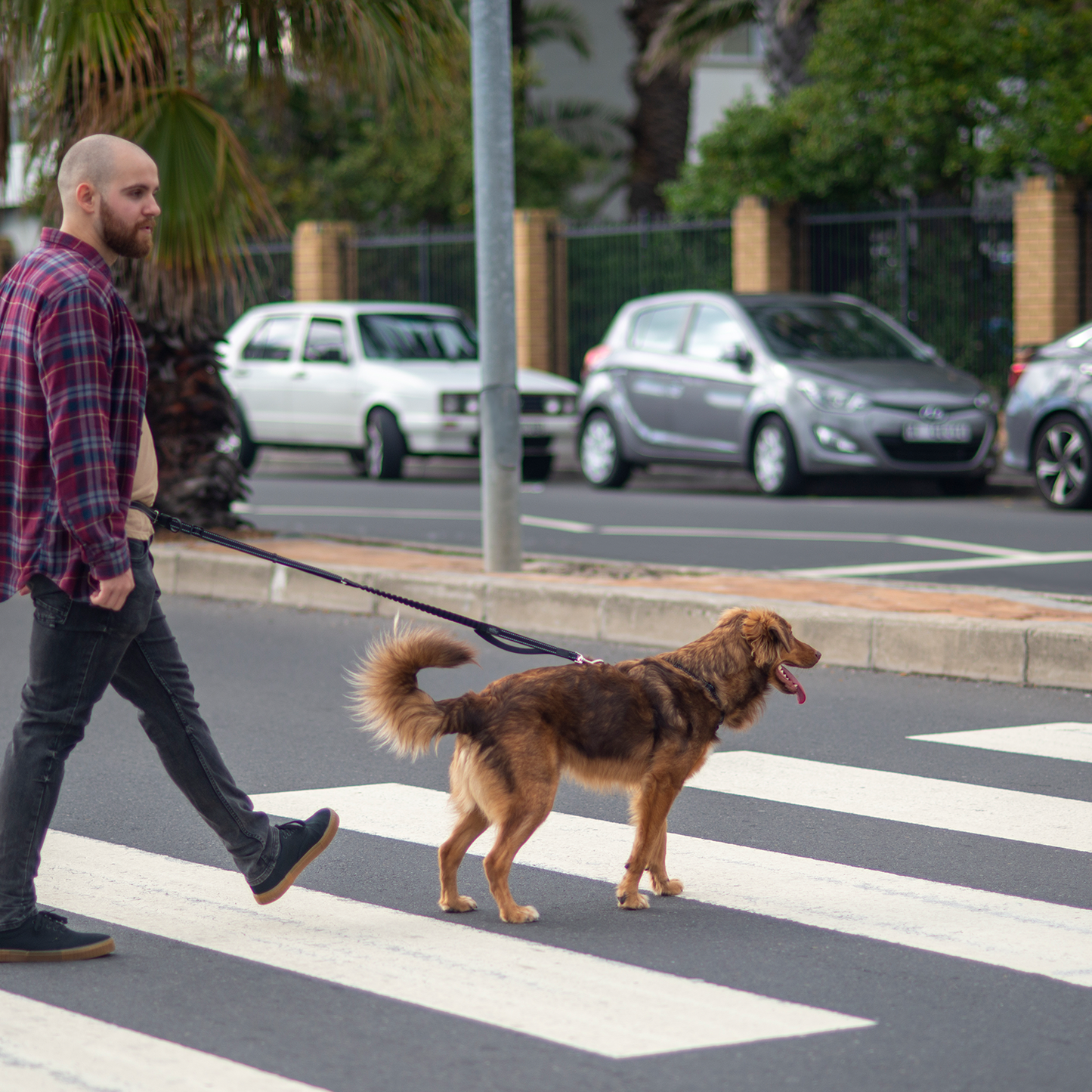 Rogz Utility Handsfree Lead