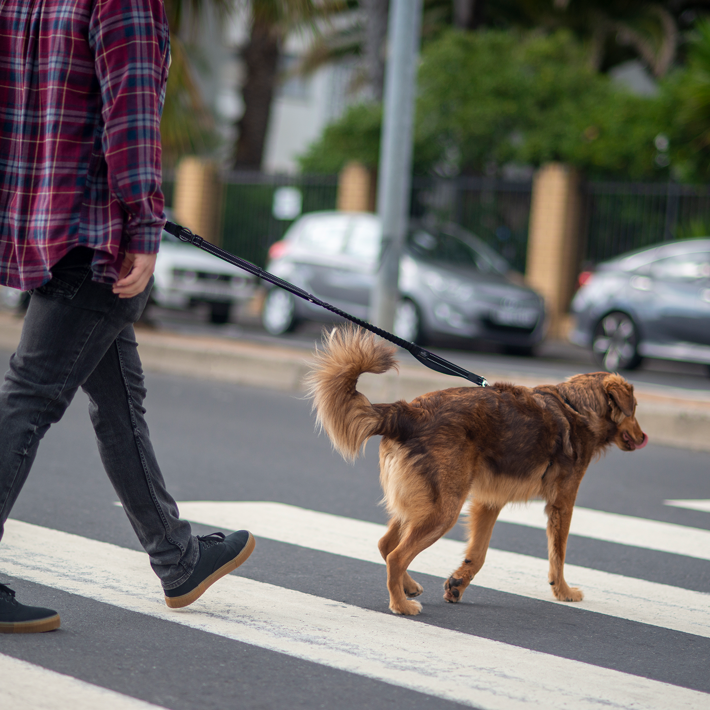 Rogz Utility Handsfree Lead