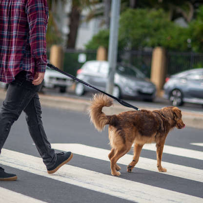 Rogz Utility Handsfree Lead