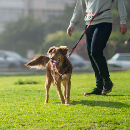 Rogz Utility Handsfree Lead