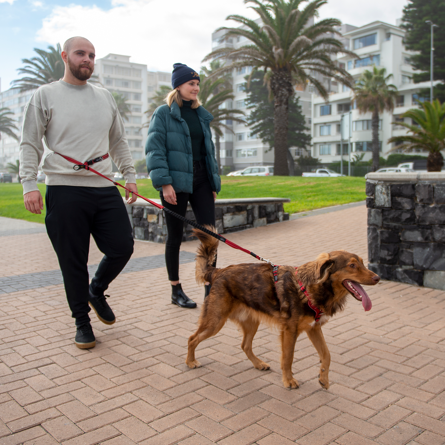 Rogz Utility Handsfree Lead