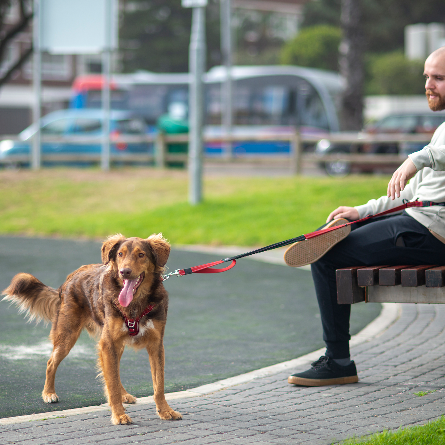 Rogz Utility Handsfree Lead