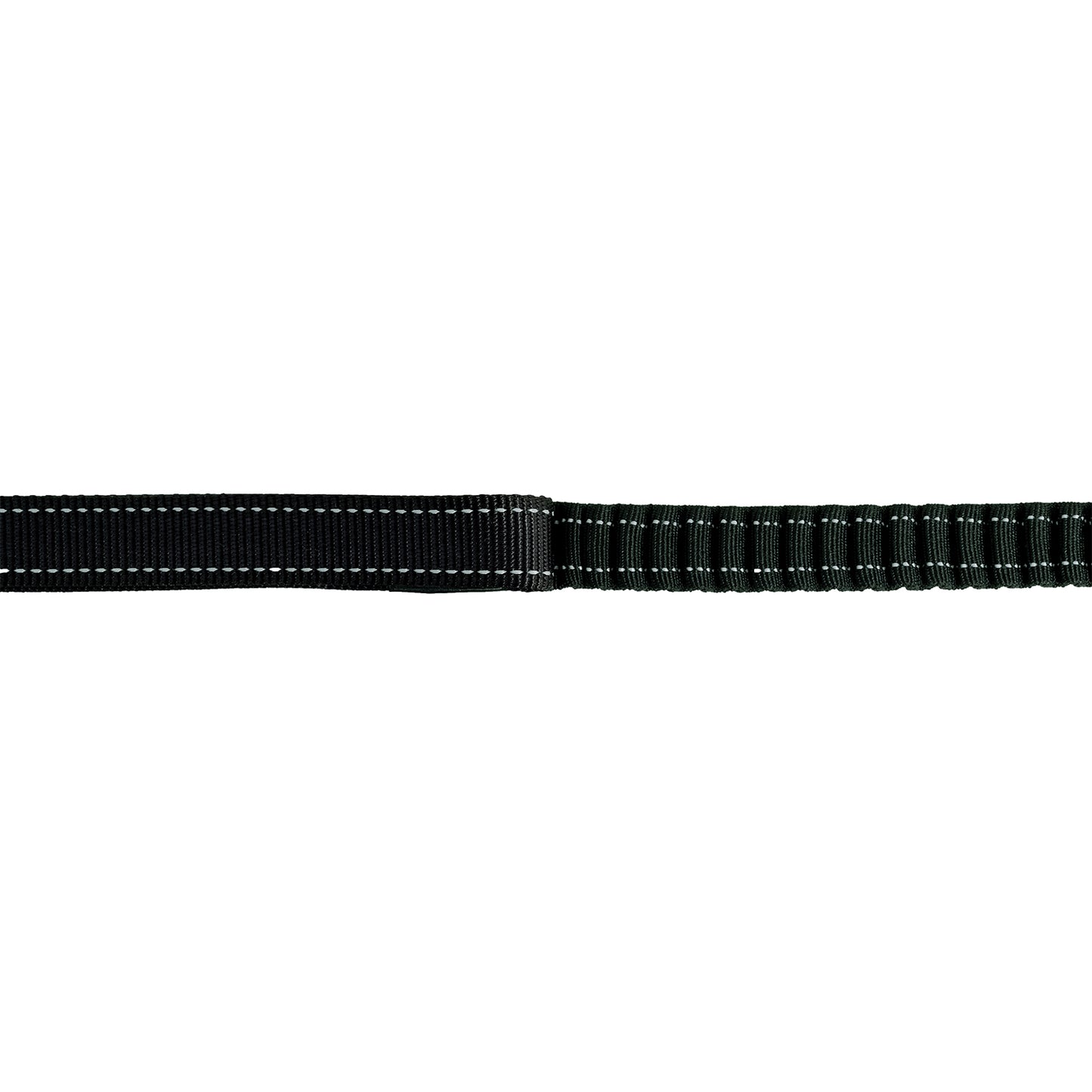 Rogz Utility Bungee Lead