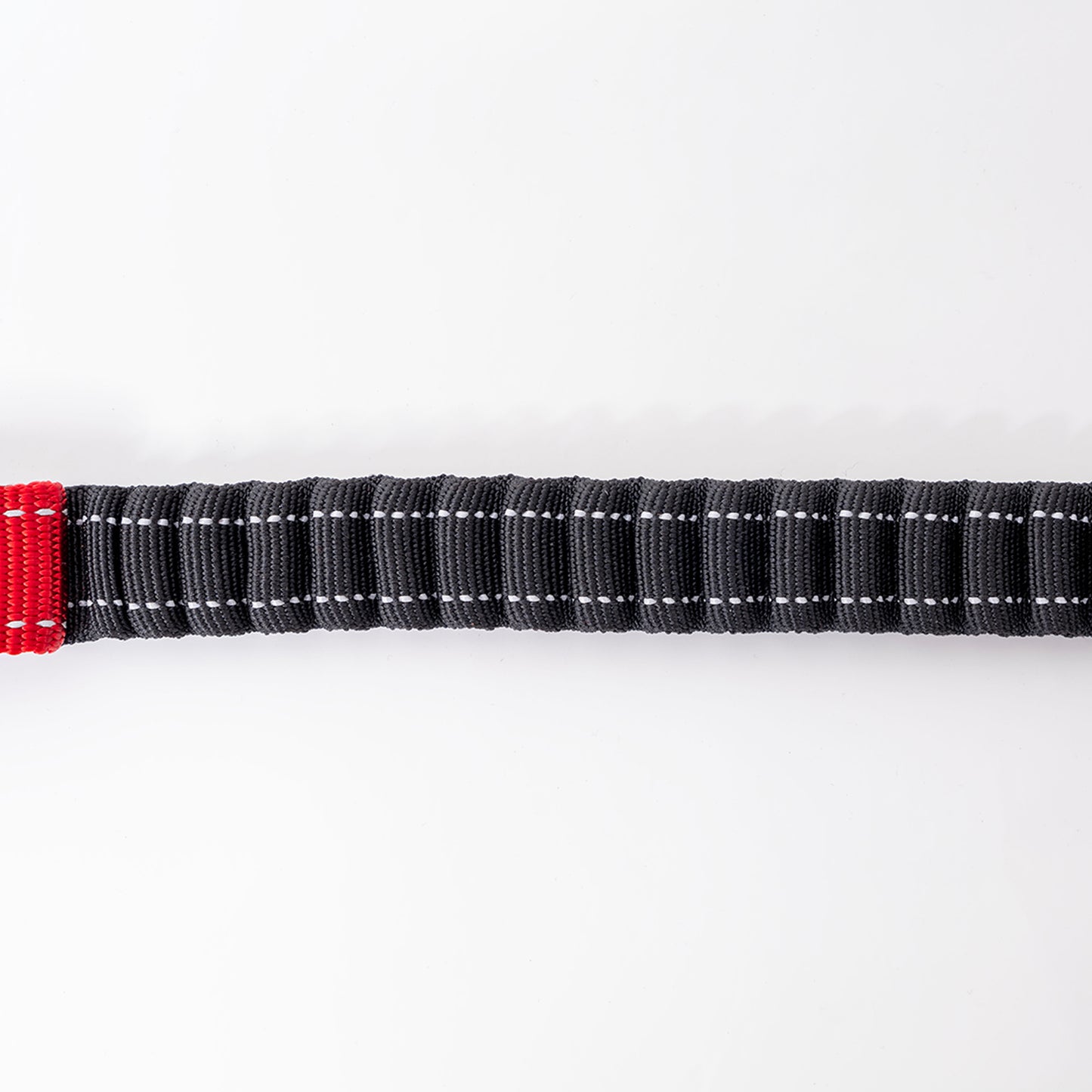 Rogz Utility Bungee Lead