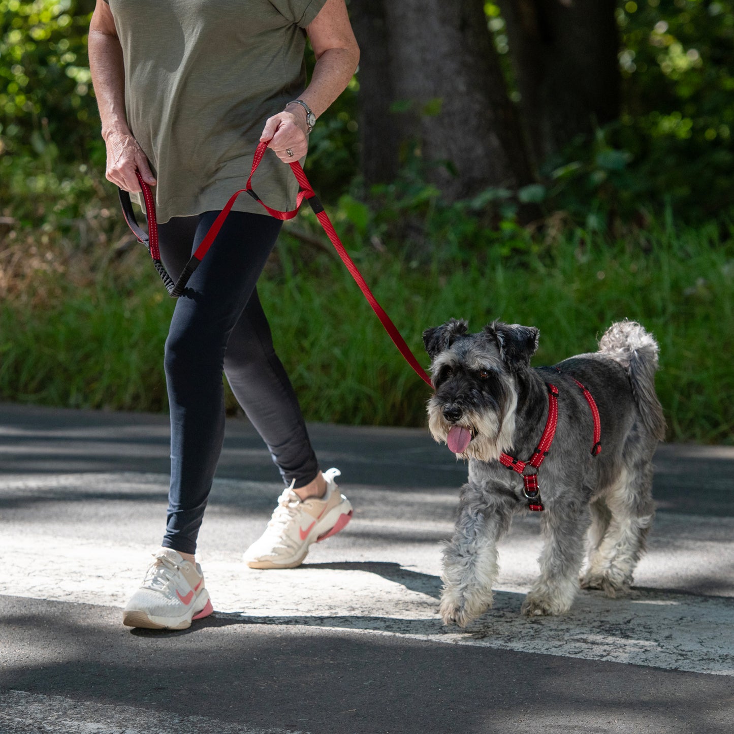 Rogz Utility Bungee Lead