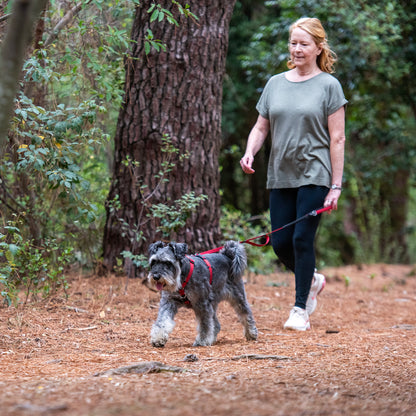 Rogz Utility Bungee Lead