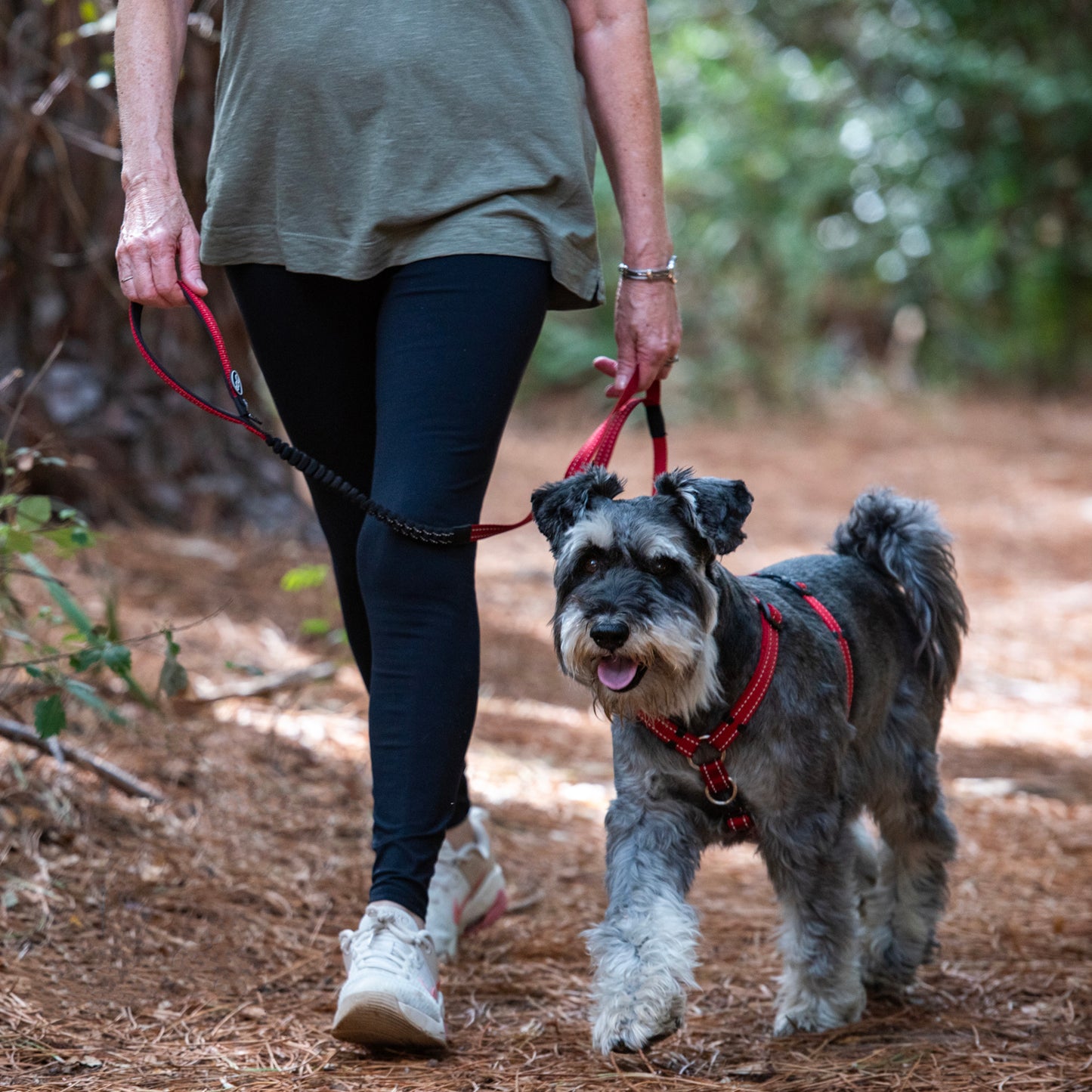 Rogz Utility Bungee Lead