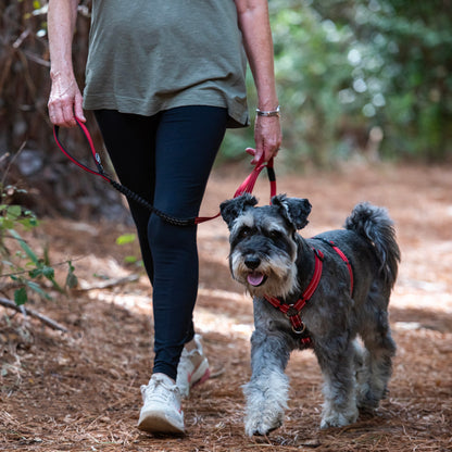 Rogz Utility Bungee Lead