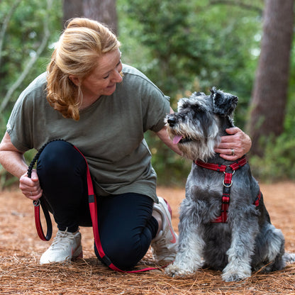 Rogz Utility Bungee Lead