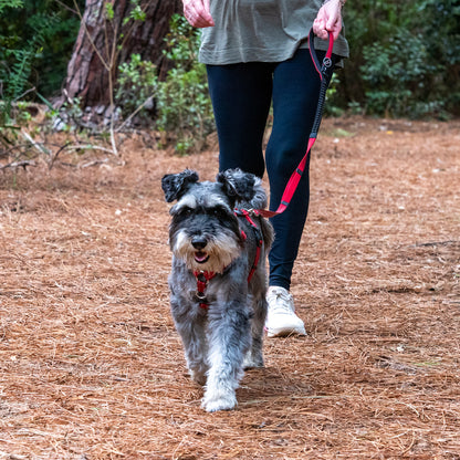 Rogz Utility Bungee Lead